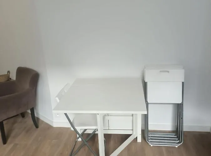 Le Fayolle - Lumineux 2 Pieces En Centre-ville Apartament *